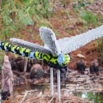 Dragonfly created from lego blocks